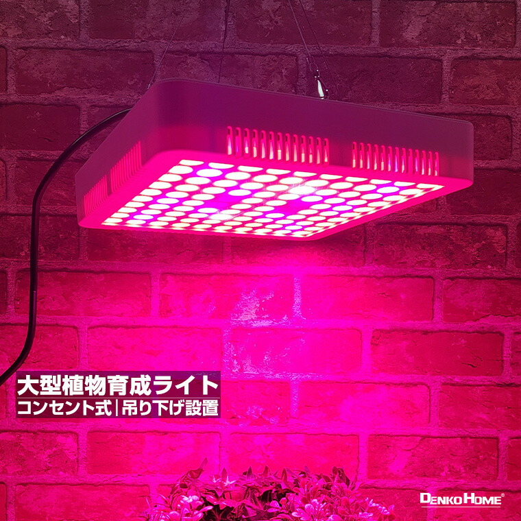 【楽天市場】大型 植物育成ライト LED 育成ライト 観葉植物 多肉植物 ライト フック式 引っ掛け 日照不足解消 栽培 キット 赤 青 紫