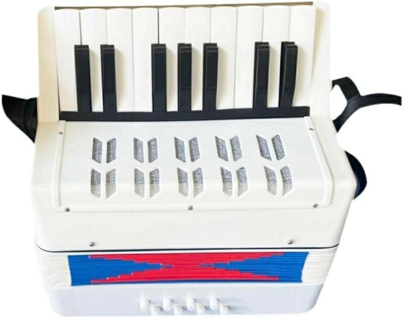 アコーディオン キッズノイズ ミニおもちゃ ミュージカル キッズピアノ 楽器 無垢材 学生 ポータブル