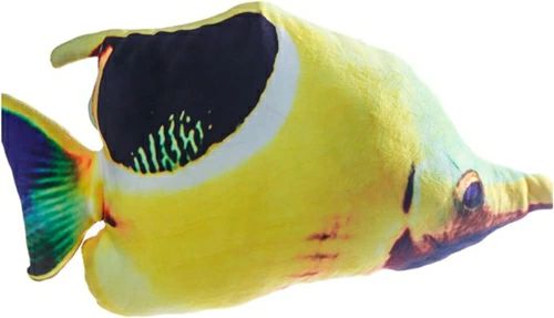 ぬいぐるみ 魚 好いたらしい 本当の 抱き枕 睡眠時間枕 毛の荒物 座布団 手あそび 萌え萌え 縫いぐるみ 車用 店飾りつけ 御部屋飾りつけ クリスマス 差し上げ物 生まれ落ちる日 FALSE