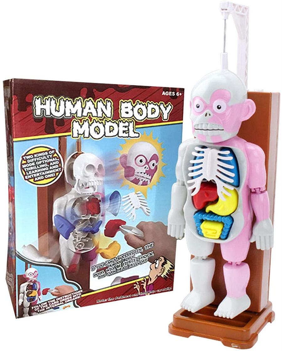 楽天市場】☆楽天1位☆復元パズル おもちゃ 人体模型 ハロウィン