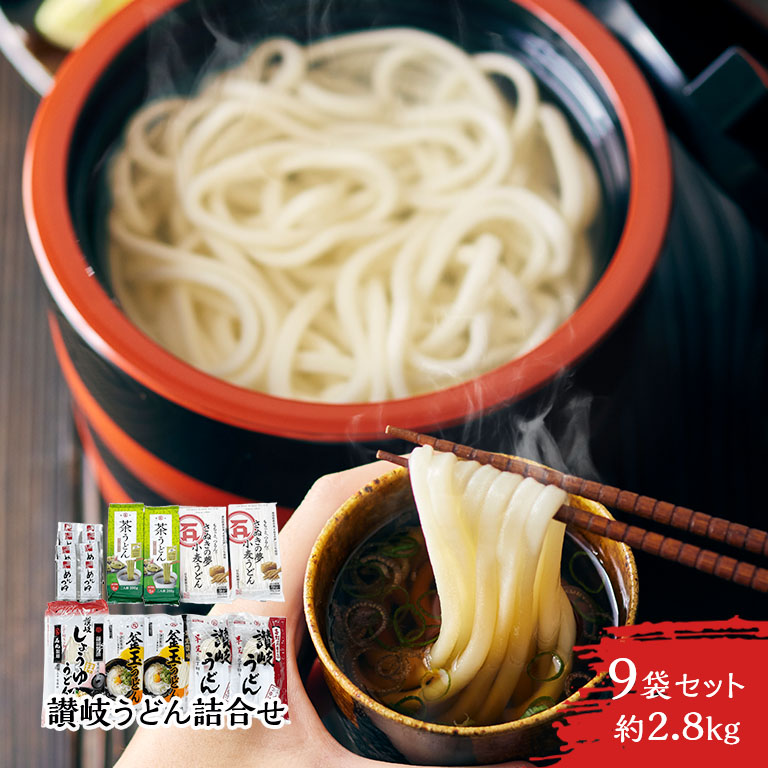 【直送】 讃岐うどんたっぷり詰合せ 日本直販オリジナルセット うどん 詰め合わせ セット 半生うどん 乾麺 包丁切り製法 讃岐茶うどん さぬきの夢 小麦使用 鎌田醤油 釜玉うどん しょうゆうどん ご当地グルメ ご自宅用 贈答用 ギフト 食べ比べ グルメ 土産 お歳暮 お中元
