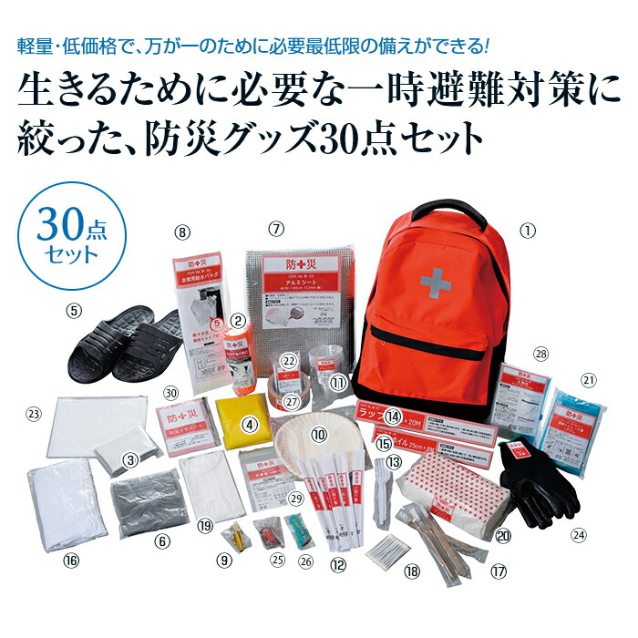 最低 限 グッズ 避難 避難所に行く基準は？防災士が「避難所or家で待機」を決める場合は…