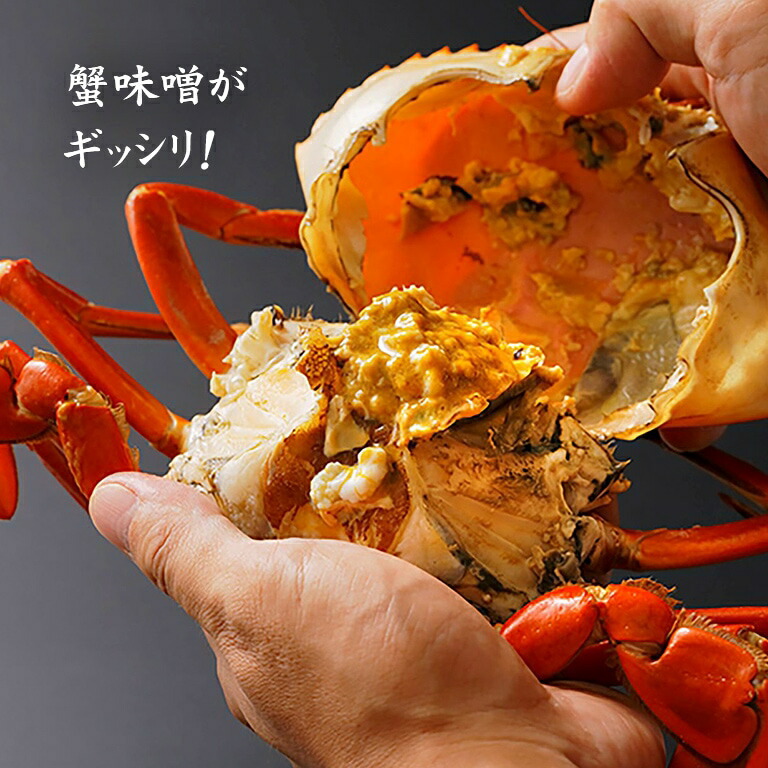 無料発送 浜名湖産 どうまん蟹 希少 カニ 高級 蟹味噌 爪肉 日本産 国産 静岡 グルメ お取り寄せ 冷凍 御祝 お祝い ギフト プレゼント 贈答 贈り物 グルメギフト Fucoa Cl