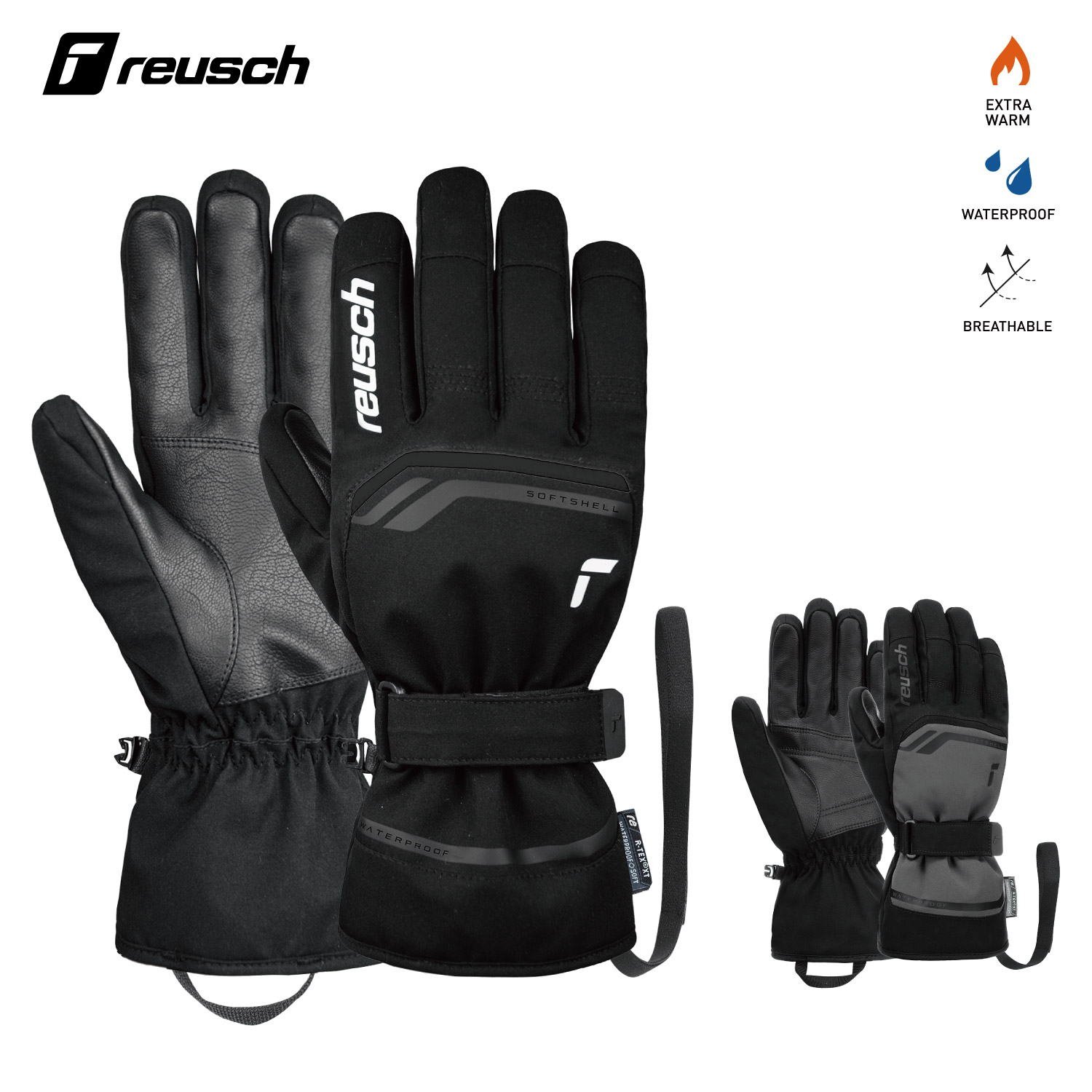 楽天市場】ロイシュ スキーグローブ LANDO R-TEX XT メンズ アルペン
