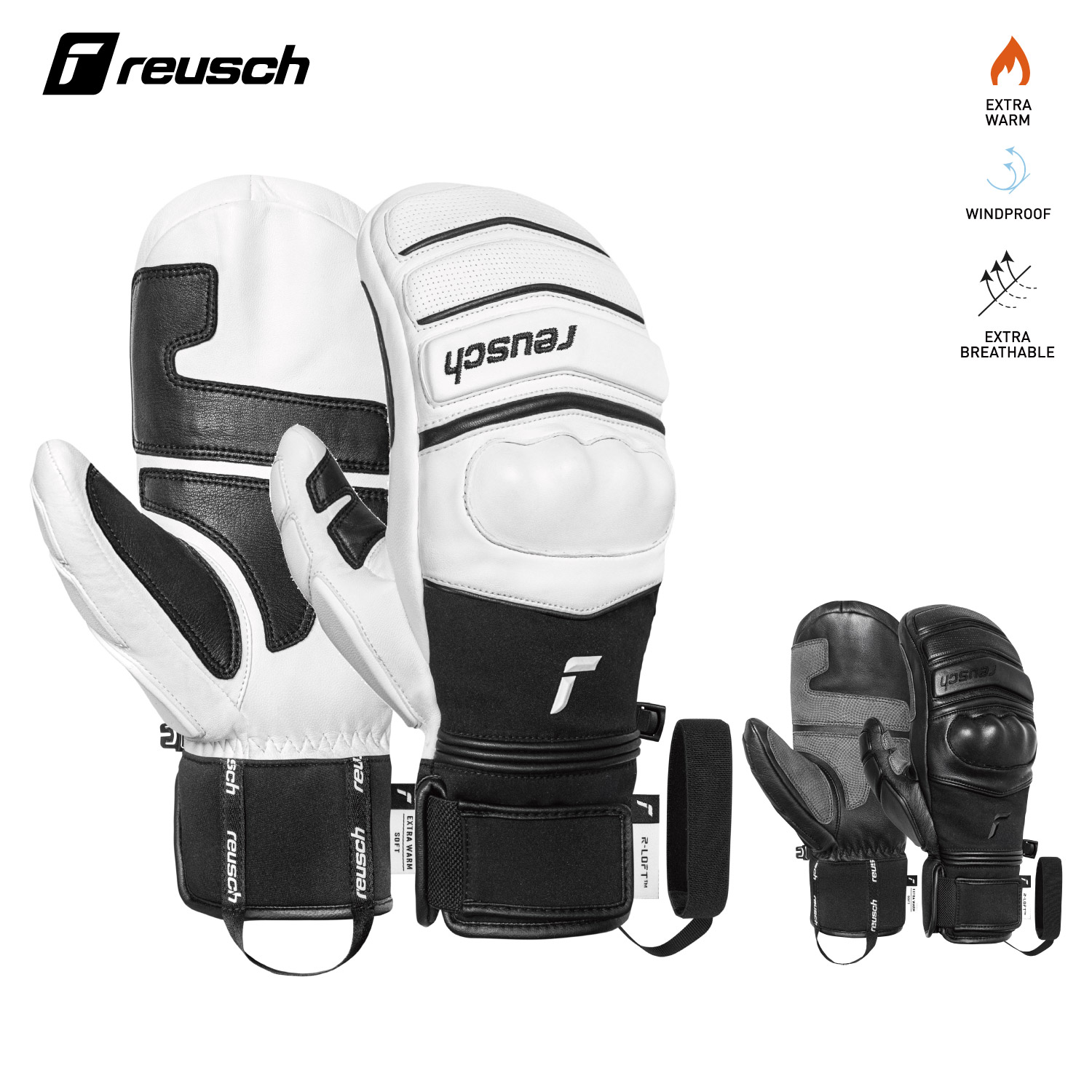 楽天市場】ロイシュ スキーグローブ ミトン メンズ レザーグローブ