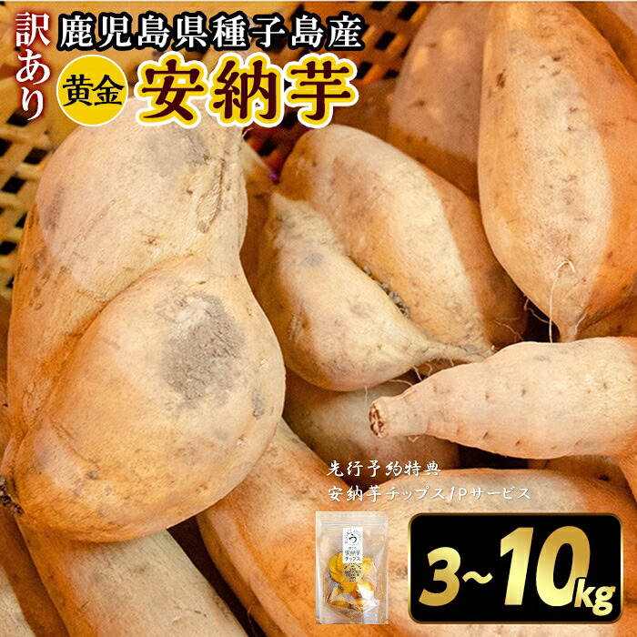 楽天市場】【セール中!!】安納芋 種子島産 送料無料 訳あり 無