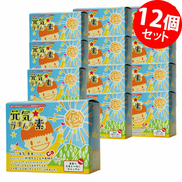 甲斐甲斐しい☆がまんの素 個荷拵え手合い 120g（2g×60包） ×12箱