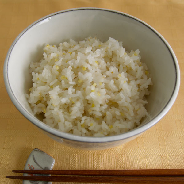 低反発 腰用 創健社 五穀大黒 500g×15個 JAN：4901735009794 - 通販 ...