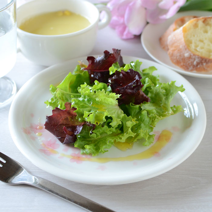 森修焼（しんしゅうやき） 一皿 Ｍ大いさ さくら柄／5枚仕掛ける 食器-食器・カトラリー・グラス-キッチン用品・食器・調理器具