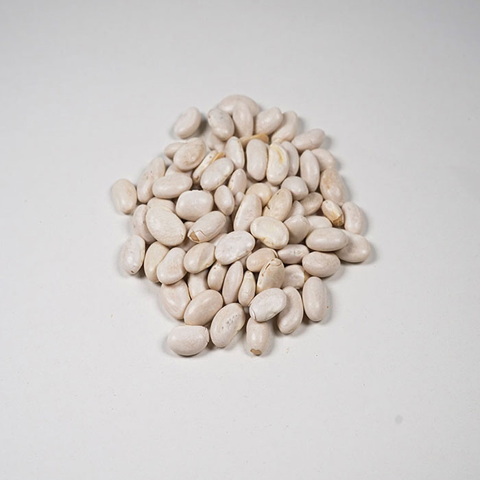 ALISHAN（アリサン） 有機グレートノーザンビーンズ　業務用 11.33kg