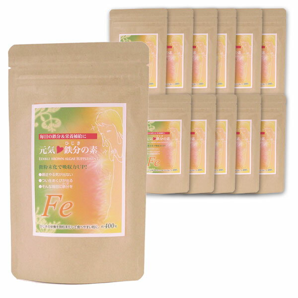 【12個セット】元気鉄分（ひじき）の素 100g（約400粒）×12個