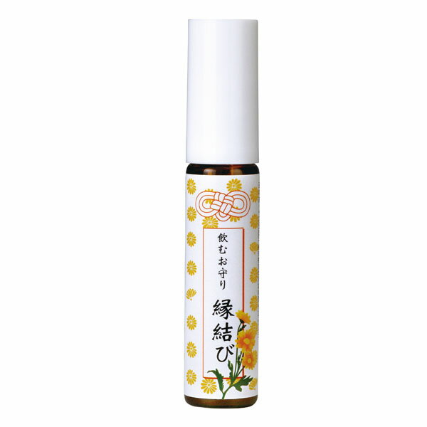 環境浄化装置　プロッシュ　e-bless 環境浄化装置 イーブレス e-bless（プロッシュ）