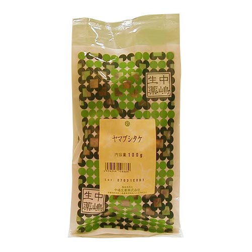 ヤマブシタケ（山伏茸）500g