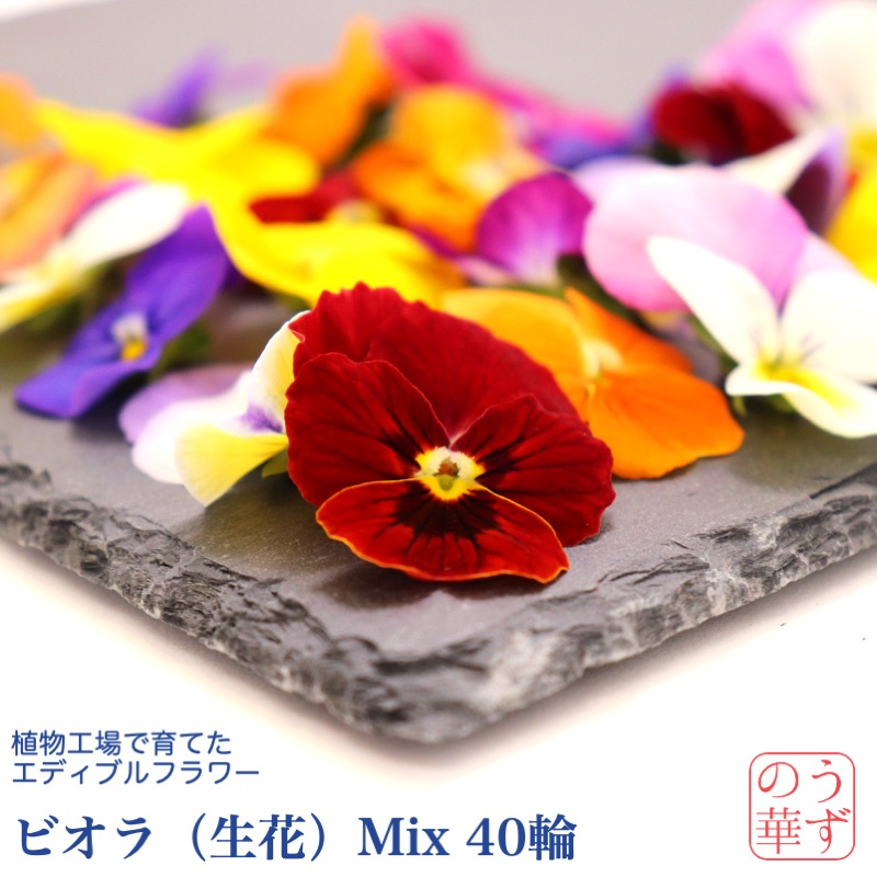 楽天市場】うずの華 【送料無料】＜50枚＞ドライエディブルフラワー＜食べるおしばな＞ビオラ (食用花 ミックス 詰め合わせ ケーキ スイーツ クッキー  飾り 花 国産 押し花 花びら ドライフラワー デコレーション プレゼント お菓子作り バレンタイン 乾燥 カクテル お酒 ...