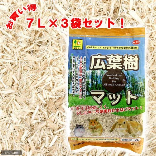 人気のファッションブランド！ 楽天市場】送料無料【セット販売】CASA ハリネズミのコーン トイレ用品・トイレ砂