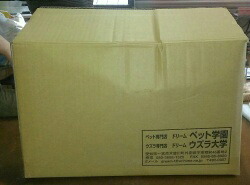 貨物輸送無料 ウズラ最高学府 ウズラ産卵用ボンネット ドリームクランブル ２０Ｋｇ箱
