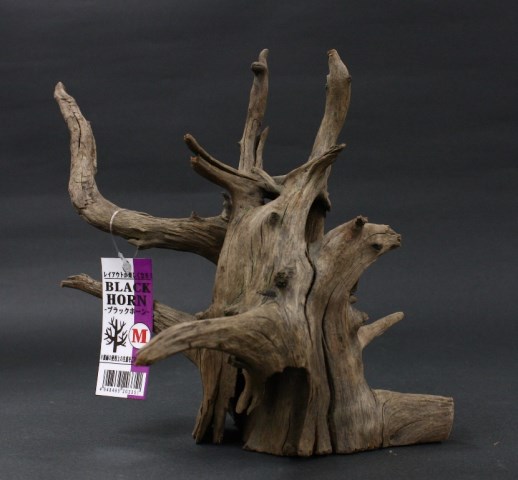 ブラックホーンｍ 観賞魚 用品 流木 新作からsaleアイテム等お得な商品満載