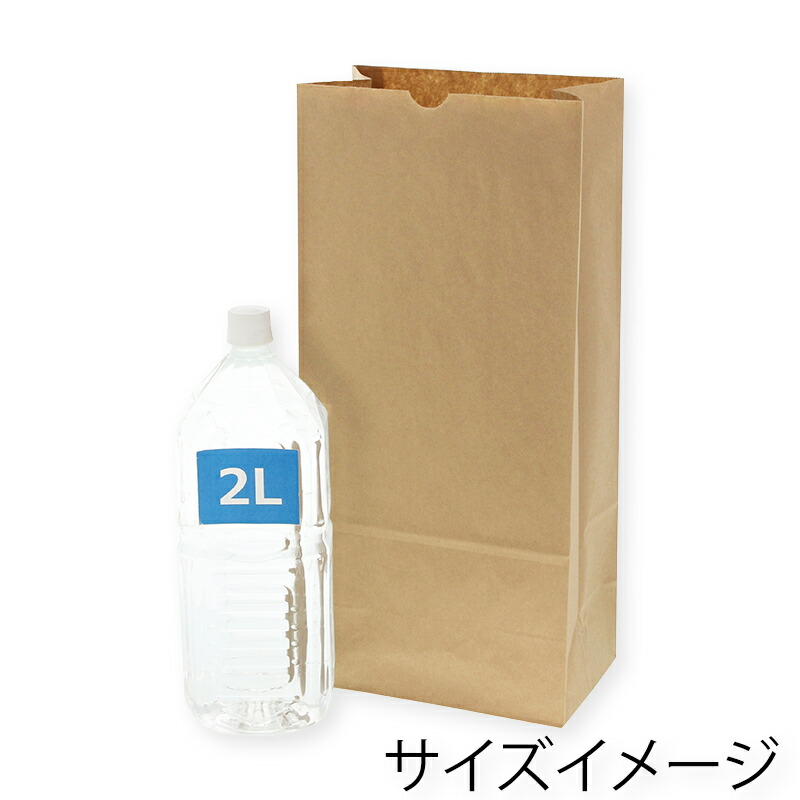 紙袋 角底袋 No.25 未晒無地 100枚 シモジマ