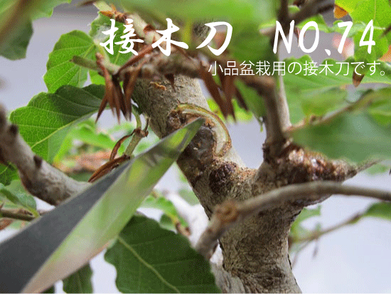 和製爪切り Super V-CUT 花・観葉植物-花・ガーデン・DIY-その他