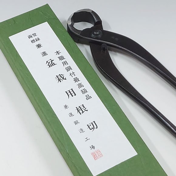 V.ROAD　盆栽　植木　庭木 　根切　中　全長210mm　No.13A