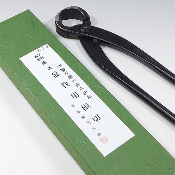 V.ROAD　盆栽　植木　庭木 　根切　大　全長270mm　No.14