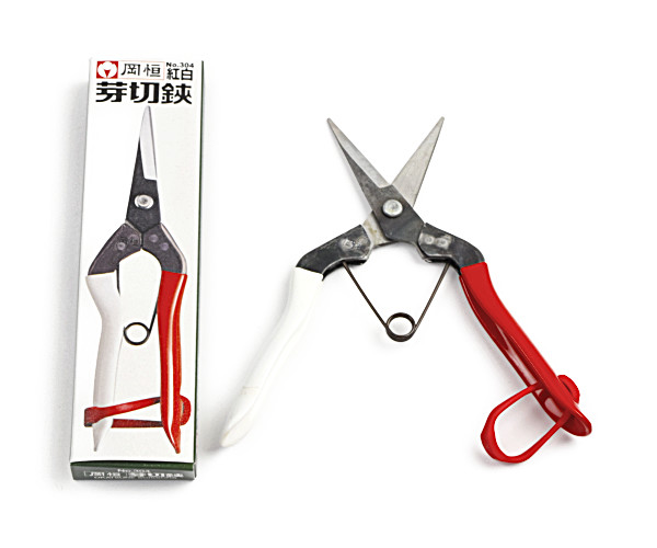 楽天市場】岡恒 芽切鋏(切り花向き)用替バネ2本入り☆ネコポス便