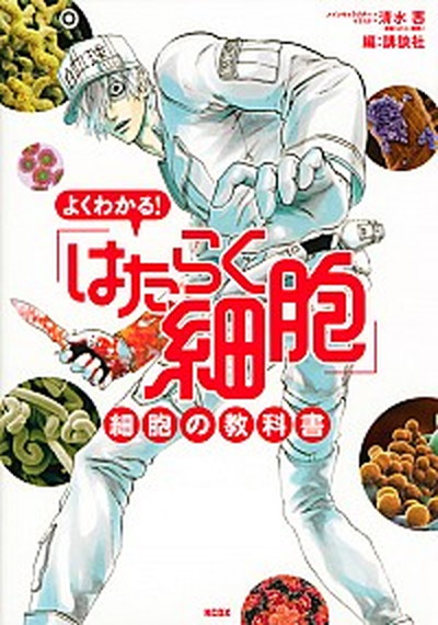 【中古】よくわかる！「はたらく細胞」細胞の教科書 /講談社/清水茜（コミック）画像