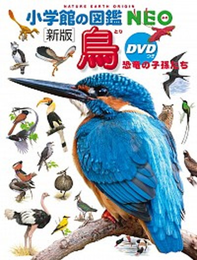衣食住にみる日本人の歴史 ４/あすなろ書房/西ケ谷恭弘（大型本） 衣食住にみる日本人の歴史 4 / 西ヶ谷 恭弘【監修】 - 紀伊國屋