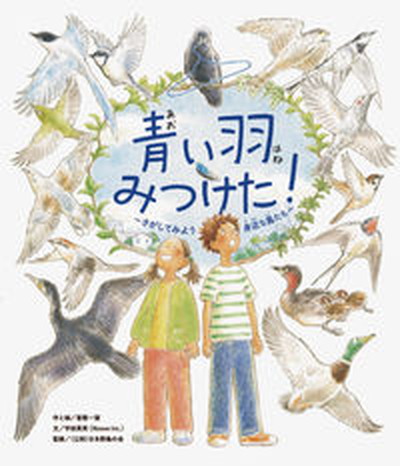 【中古】青い羽みつけた！ さがしてみよう身近な鳥たち/パイインタ-ナショナル/Noovo　Inc．（単行本）画像