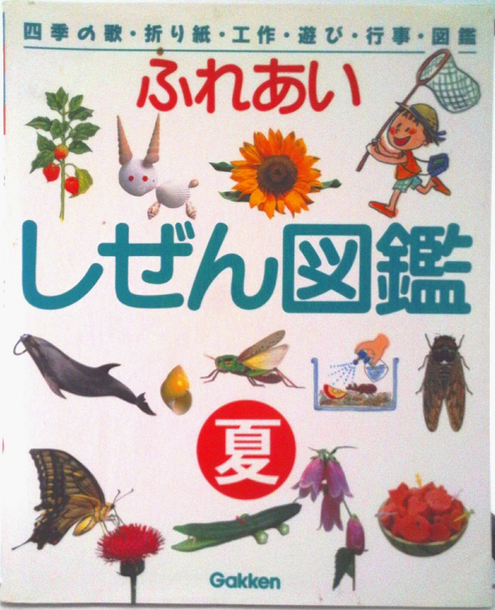楽天市場】【中古】 夏 (新版・ふれあいしぜん図鑑) : ベアホームズ