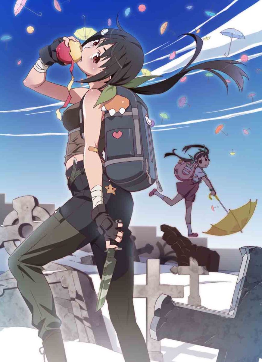 【中古】傾物語　第二巻／まよいキョンシー（下）（完全生産限定版）/Blu−ray　Disc/ANZX-11037画像