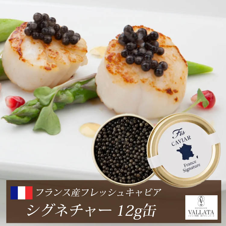 フランス産フレッシュキャビア シグネチャー 12g缶 キャビア 高級 高級食材 おすすめ 美味しい おつまみ 前菜 オードブル サラダ 本物 輸入食材 お取り寄せ 三大珍味