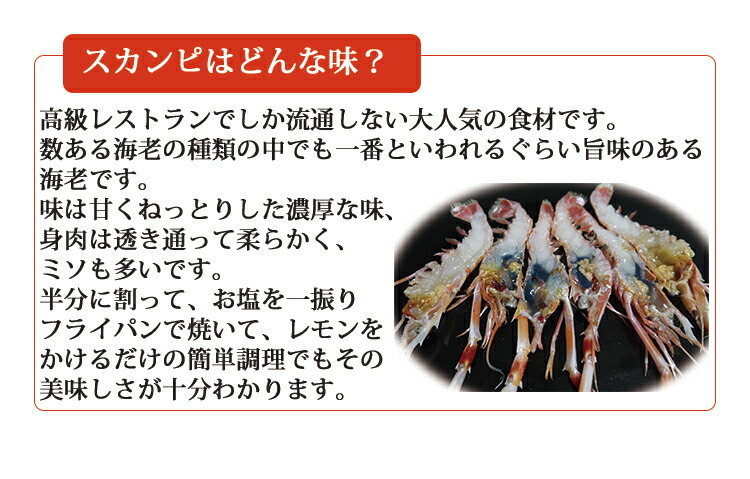 楽天市場 手長海老 スカンピ L Scampi イタリアン 高級レストラン パスタ パスタソース グリル てながえび 出汁 ブイヨン お取り寄せ お取り寄せグルメ 輸入食品 輸入食材 おうちじかん 簡単調理 美味しい 1匹 ギフト プレゼント 父の日 母の日 記念日 イタリア料理