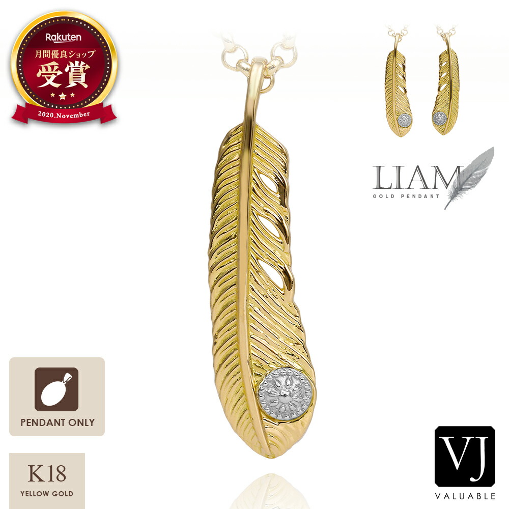 VJ 【 ブイジェイ 】 18金 シャンデリヤいの一番 首飾り メンズ 黄色ゴールド プラチナ 18k 「 Liam 」 鳥毛 ※シャンデリヤのみ[ K18 舞台の袖 原住民 定番 羽 惹きつける 小振り ブランド名 亜米利加 鷹 鷲 左 引っ切り無い 北米インディアン 右 成人男性 ]