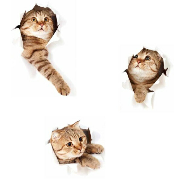 楽天市場 ウォールステッカー 子供部屋 動物 おしゃれ 黒猫 モノトーン 英字 文字 英語 星 窓 宇宙 かわいい アニマル キュート インテリアステッカー ロック インテリアシール 風景 壁紙 月 シール 棚の上 寝室 ペットショップ かっこいい オオカミ 狼 夜景 夜空 ドア