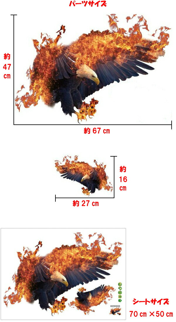 楽天市場 ウォールステッカー 鳥 動物 子供部屋 イーグル 鷹 鷲 鳳凰 フェニックス カジュアル アニマル ウォールシール はがせる 炎 かっこいい おしゃれ 車 いかつい ツリー 植物 教室 かわいい 火花 風景 簡単 Diy キャラクター 葉 緑 男前 クール 動物園