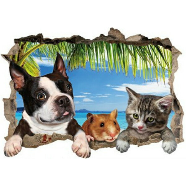 楽天市場 ウォールステッカー 動物 海 犬 おしゃれ 窓 猫 子供部屋 アニマル ウォールシール インテリアステッカー ステッカー ヤシの木 南国 ビーチ トイレ 風景 夏 壁紙 木 シール ツリー ワンちゃん かわいい Cat 玄関 お風呂 フォト Dog キュート リアル Value Deco