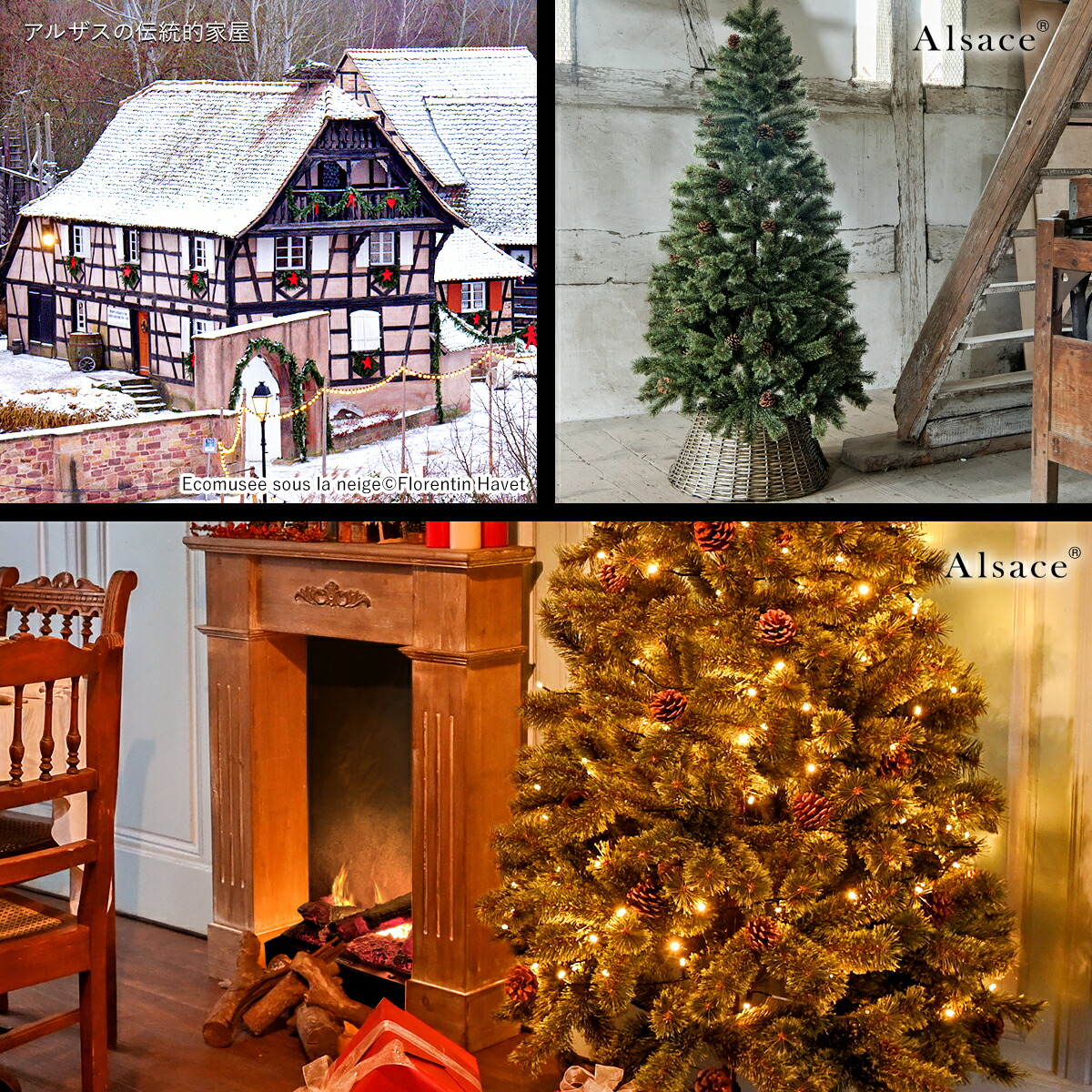 Alsace(R) 正規品】クリスマスツリー 180cm 豊富な枝数 2025ver. 樅