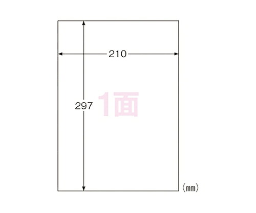 【期間限定!対象商品P2～20倍】 屋外用ラベル ホワイトフィルム 210×297mm 1冊（100枚入） 強粘着 KLP862 1冊(100枚入)