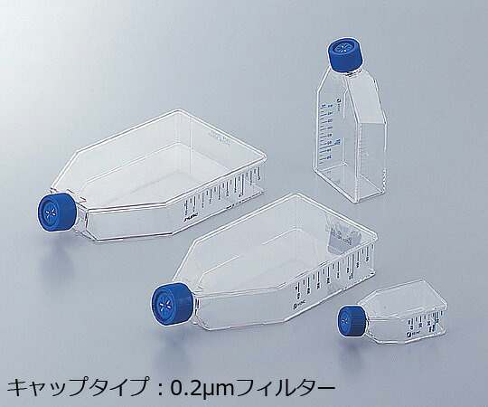 【SS制限事項 38万商いもの以上10%OFF】 イージーフラスコ 25糎2（0.2μm水漉し旗がしら） 156367 1箱(10個×20包入)