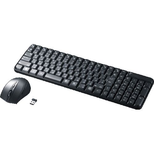 【SS制限事項 38万商いもの以上10%OFF】 ＳＡＮＷＡ 二十日鼠付き添い人無線電話鍵盤 1個 (SKBWL25SETBK)