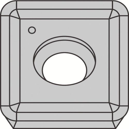 【期間限定!対象商品P2～20倍】 京セラ　ミーリング加工用チップ　ＰＶＤコーティング　ＰＲ０１１０　10個 (SPCT10T316FNSE)