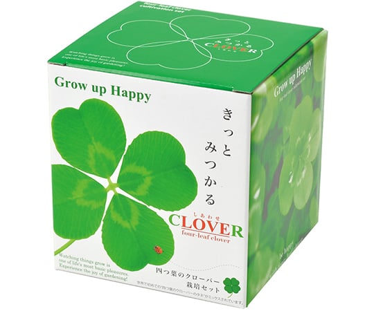 四つ葉のクローバー img_1662-294x300.jpg