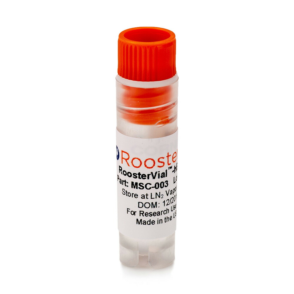 【SS押さえる 38万商いもの以上10%OFF】 RoosterVial-hBM 1vial MSC-003 1個