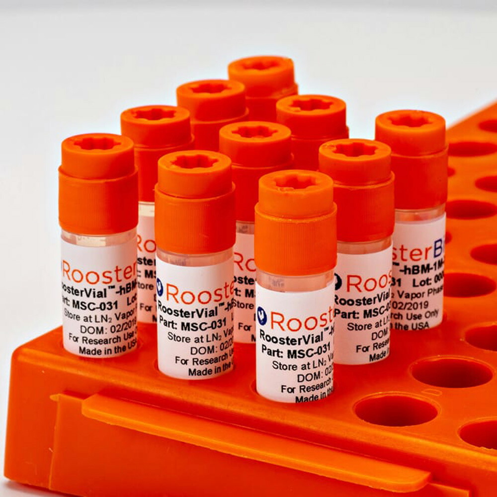 【期間限定!対象商品P2～20倍】 Xeno-Free RoosterVial-hBM 1vial　MSC-031 1個｜福祉用具のバリューケア