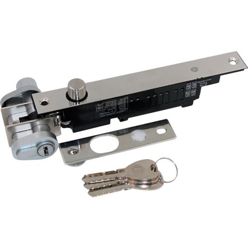 【期間限定!対象商品P2～20倍】 ＬＯＣＫＭＡＮ　電磁式電気錠ＶＯＬＣＡＬＯＣＫ　ＬＣ－ＤＢ２０００Ｐ　1台 (LCDB2000P)