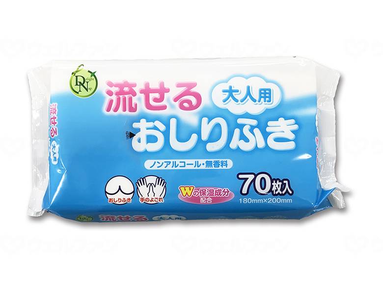 【SS制限事項 38万商いもの以上10%OFF】 大一紙工 成年者用流せるおしりふき７０枚入／入れもの