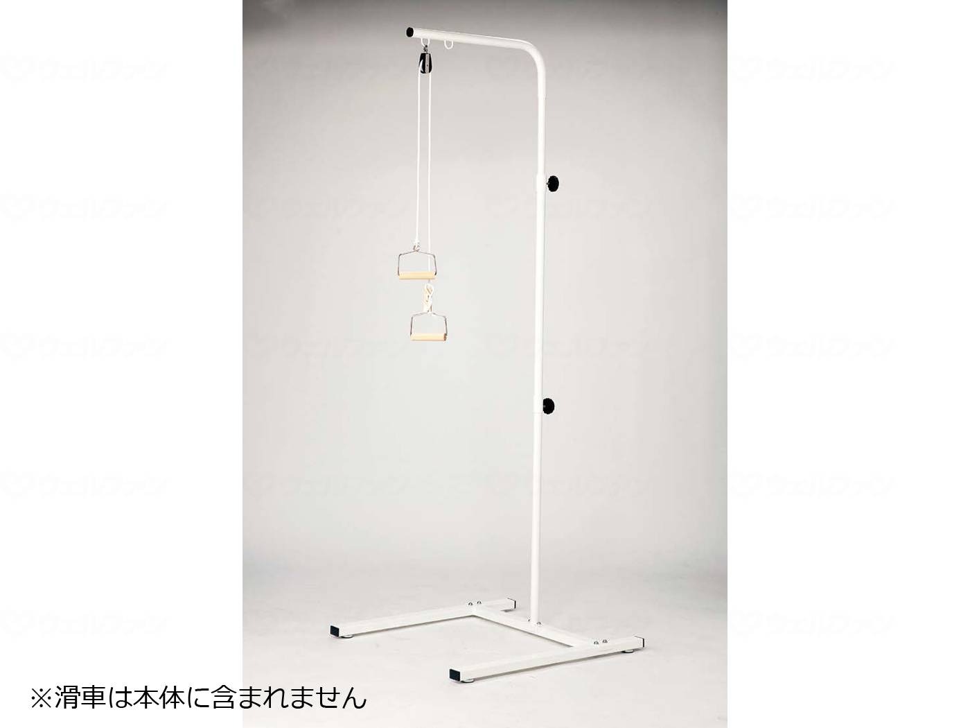 【SS制限事項 38万商いもの以上10%OFF】 ウェルファン 社会復帰極点