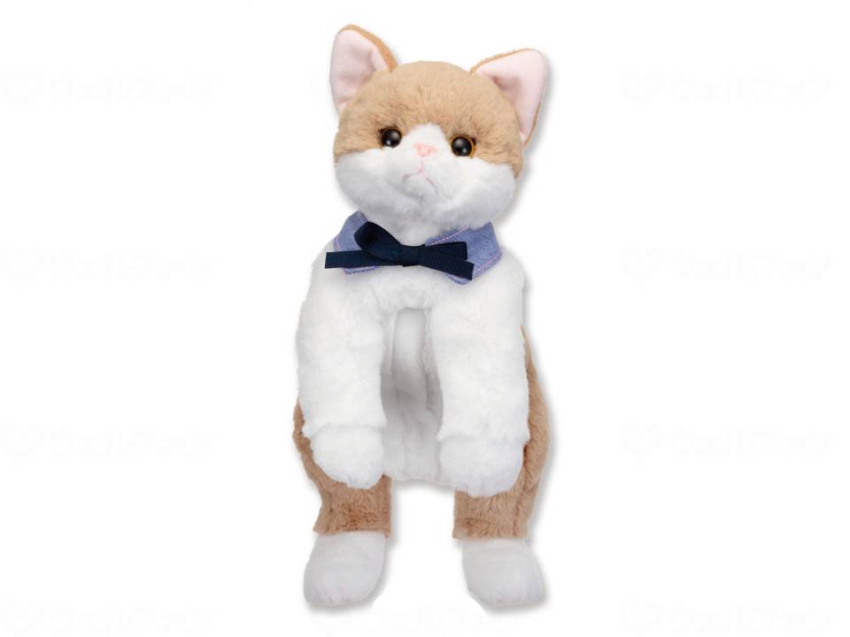 【SS制限事項 38万商いもの以上10%OFF】 イワヤ なごみケーションにゃんこぬくもり
