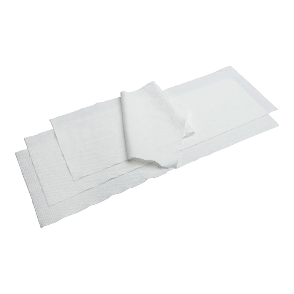 【期間限定!対象商品P2~20倍】 クリーンルームモップ MOP2・4用ワイパー 200×610mm 1袋(25枚入) MSSS.0824.12P 1袋(25枚入)